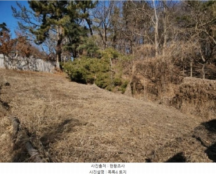 2025타경501464 인천광역시 중구 운북동 385-3 임야 경매 이미지