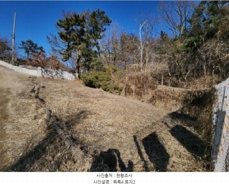 2025타경501464 인천광역시 중구 운북동 385-3 임야 경매 이미지