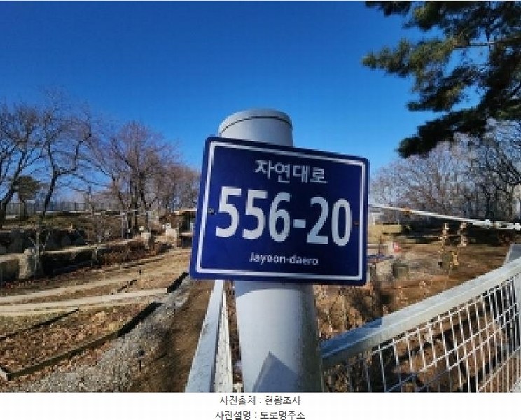 2025타경501464 인천광역시 중구 운북동 385-3 임야 경매 이미지