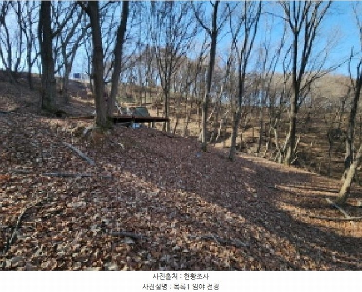 2025타경501464 인천광역시 중구 운북동 385-3 임야 경매 이미지