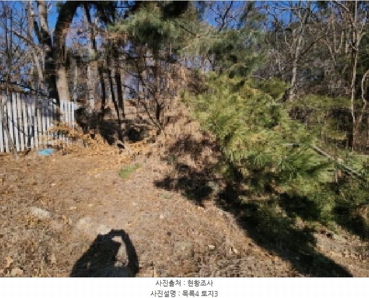 2025타경501464 인천광역시 중구 운북동 385-3 임야 경매 이미지