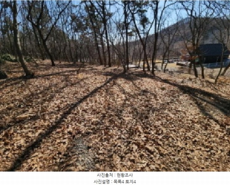 2025타경501464 인천광역시 중구 운북동 385-3 임야 경매 이미지