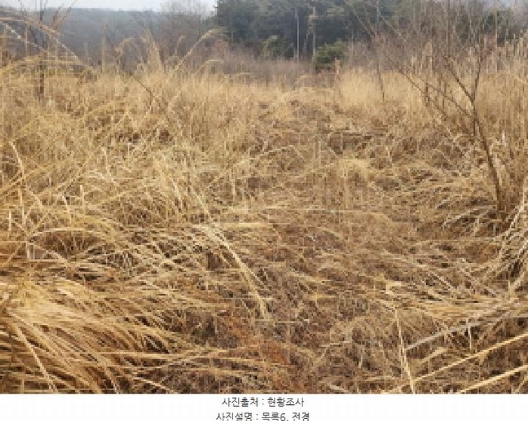 2025타경505848 인천광역시 강화군 길상면 동검리 125-78 농지 경매 이미지