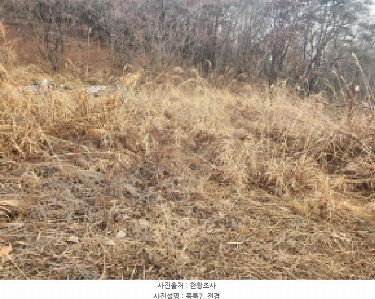 2025타경505848 인천광역시 강화군 길상면 동검리 125-78 농지 경매 이미지