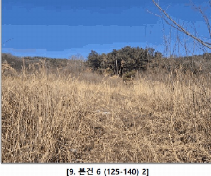2025타경505848 인천광역시 강화군 길상면 동검리 125-78 농지 경매 이미지