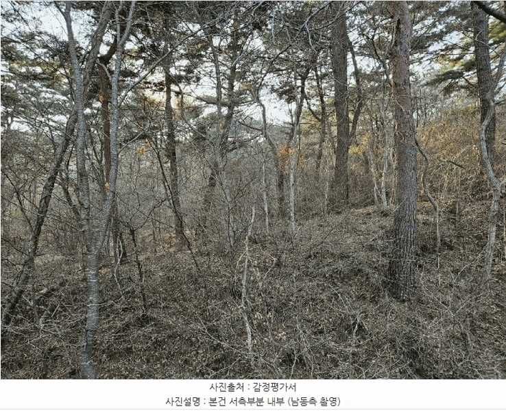 2025타경51131 충청남도 태안군 원북면 장대리 560-3 임야 경매 이미지