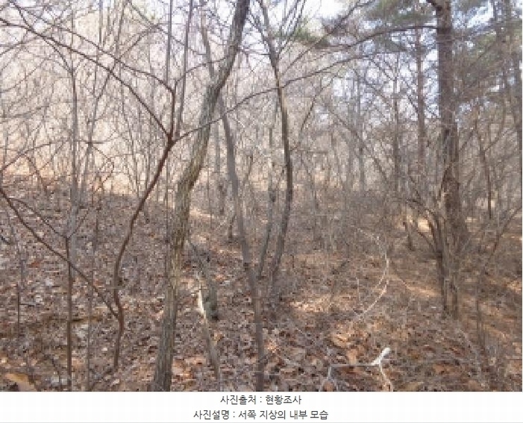 2025타경51131 충청남도 태안군 원북면 장대리 560-3 임야 경매 이미지