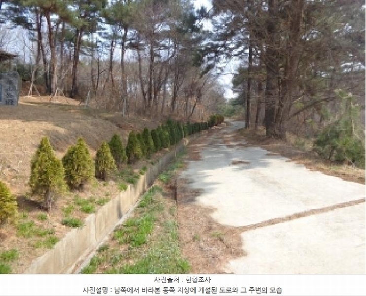 2025타경51131 충청남도 태안군 원북면 장대리 560-3 임야 경매 이미지