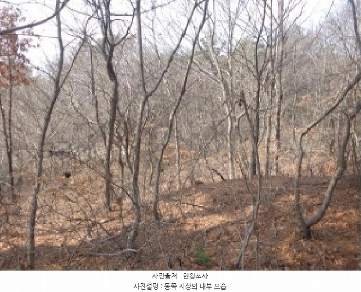 2025타경51131 충청남도 태안군 원북면 장대리 560-3 임야 경매 이미지