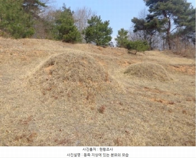 2025타경51131 충청남도 태안군 원북면 장대리 560-3 임야 경매 이미지