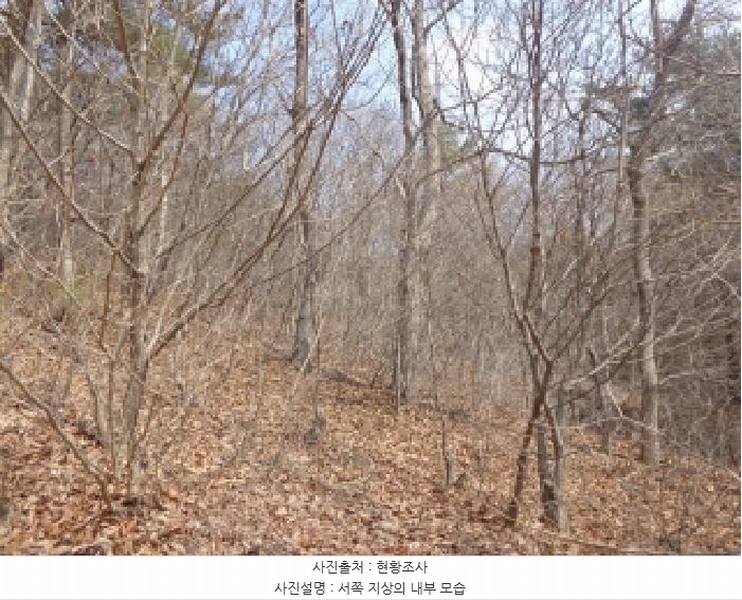 2025타경51131 충청남도 태안군 원북면 장대리 560-3 임야 경매 이미지