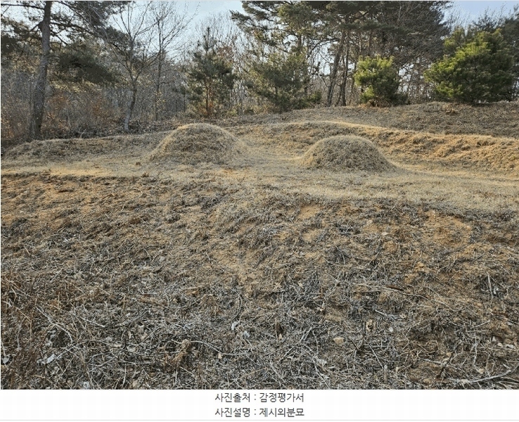 2025타경51131 충청남도 태안군 원북면 장대리 560-3 임야 경매 이미지
