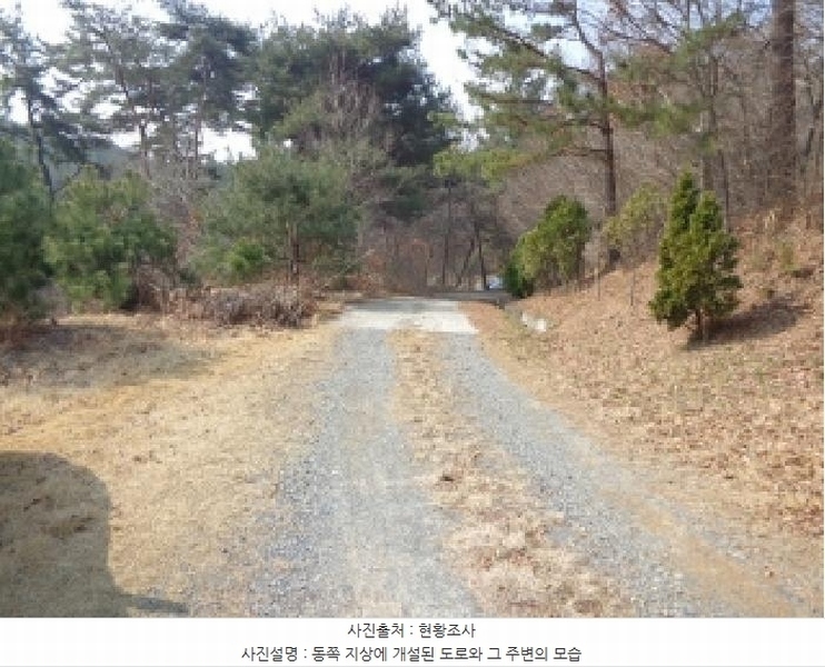 2025타경51131 충청남도 태안군 원북면 장대리 560-3 임야 경매 이미지