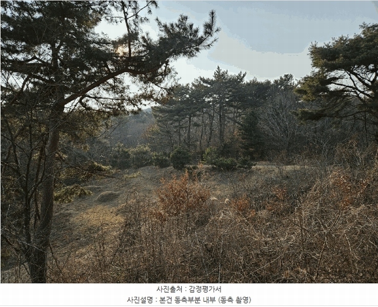 2025타경51131 충청남도 태안군 원북면 장대리 560-3 임야 경매 이미지
