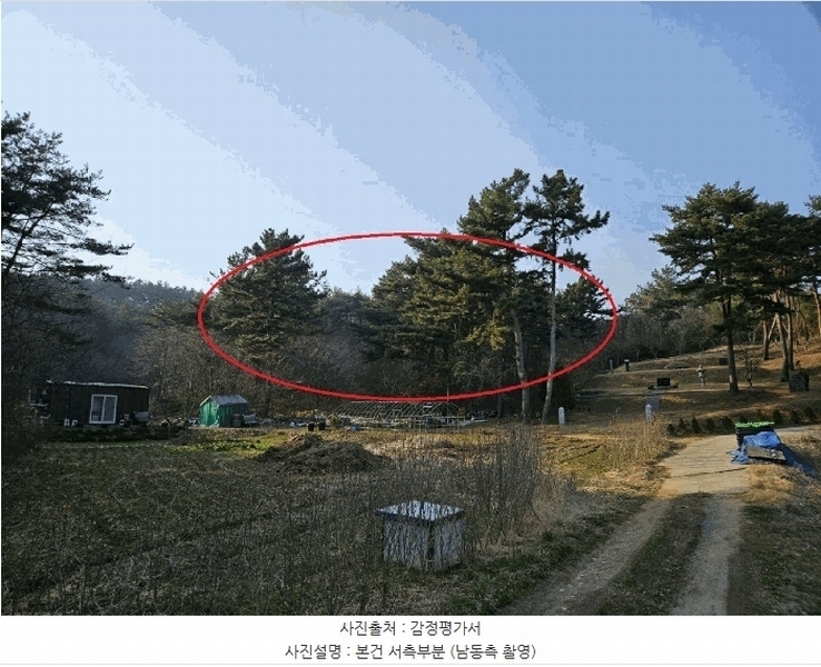 2025타경51131 충청남도 태안군 원북면 장대리 560-3 임야 경매 이미지