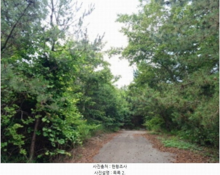 2024타경533709 인천광역시 옹진군 영흥면 외리 133-57 임야 경매 이미지