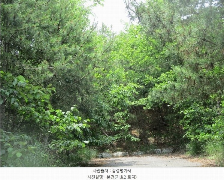 2024타경533709 인천광역시 옹진군 영흥면 외리 133-57 임야 경매 이미지