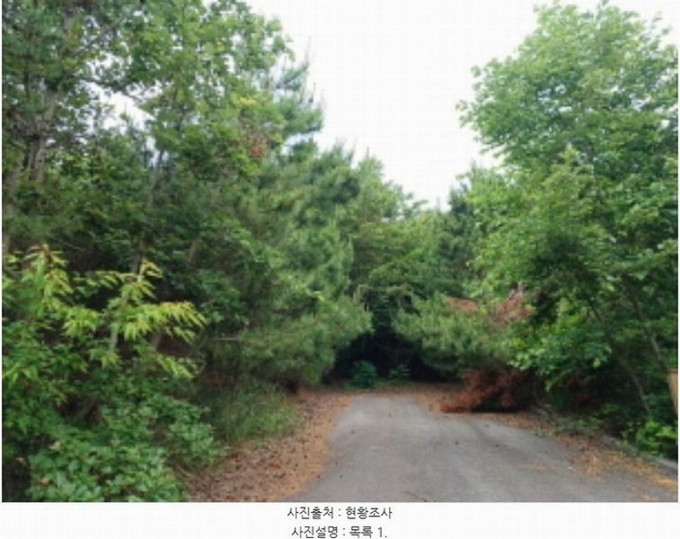 2024타경533709 인천광역시 옹진군 영흥면 외리 133-57 임야 경매 이미지