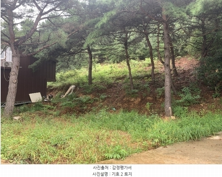 2024타경49122 경기도 김포시 월곶면 포내리 62-12 과수원 경매 이미지