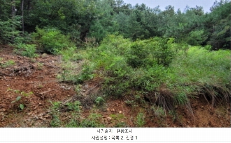 2024타경49122 경기도 김포시 월곶면 포내리 62-12 과수원 경매 이미지
