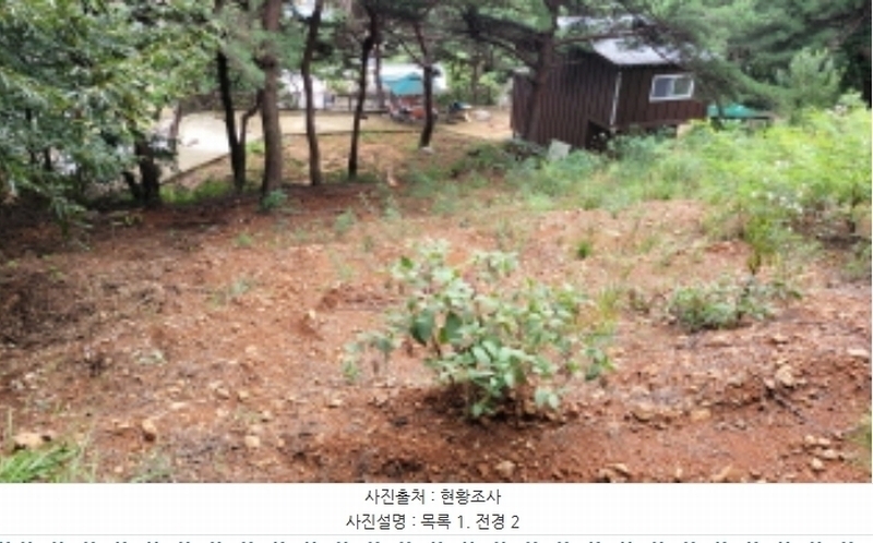 2024타경49122 경기도 김포시 월곶면 포내리 62-12 과수원 경매 이미지