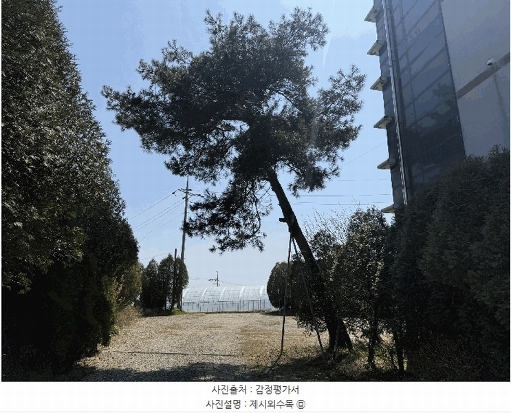 2025타경51188 충청남도 태안군 남면 당암리 187-1 숙박시설 경매 이미지