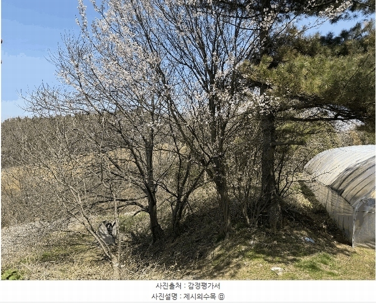2025타경51188 충청남도 태안군 남면 당암리 187-1 숙박시설 경매 이미지