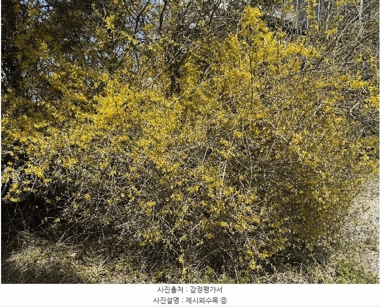 2025타경51188 충청남도 태안군 남면 당암리 187-1 숙박시설 경매 이미지