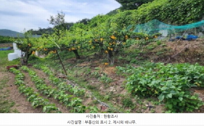 2025타경1226 울산광역시 울주군 두서면 활천리 458-4 농지 경매 이미지