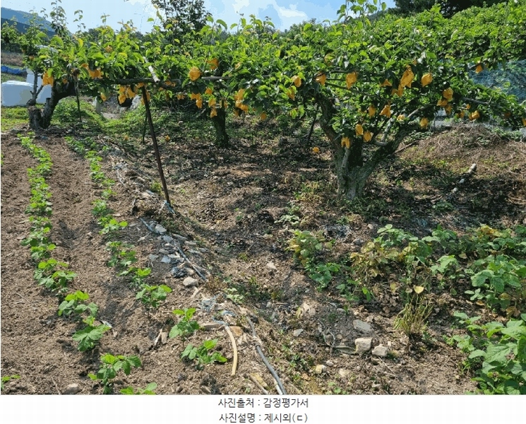 2025타경1226 울산광역시 울주군 두서면 활천리 458-4 농지 경매 이미지