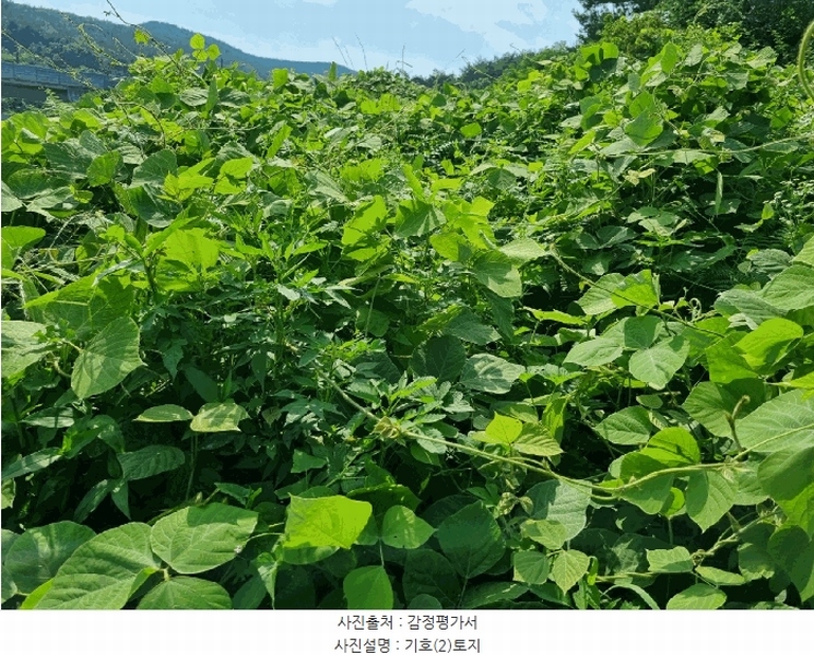 2025타경1226 울산광역시 울주군 두서면 활천리 458-4 농지 경매 이미지