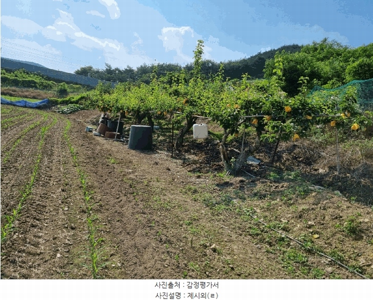 2025타경1226 울산광역시 울주군 두서면 활천리 458-4 농지 경매 이미지