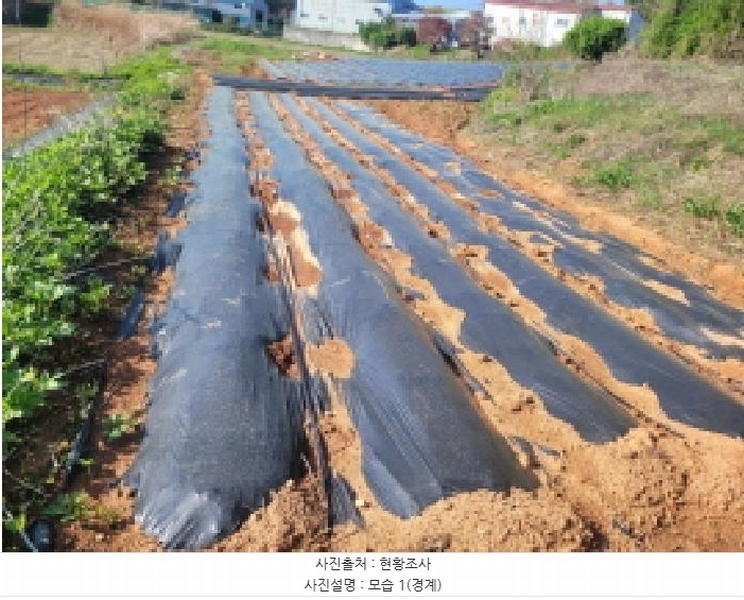 2025타경33269 경기도 김포시 고촌읍 태리 1056-1 농지 경매 이미지