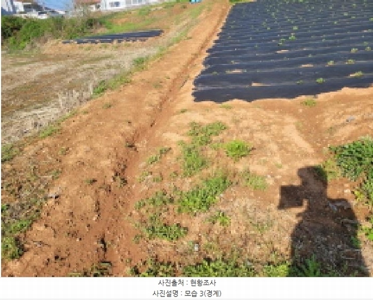 2025타경33269 경기도 김포시 고촌읍 태리 1056-1 농지 경매 이미지