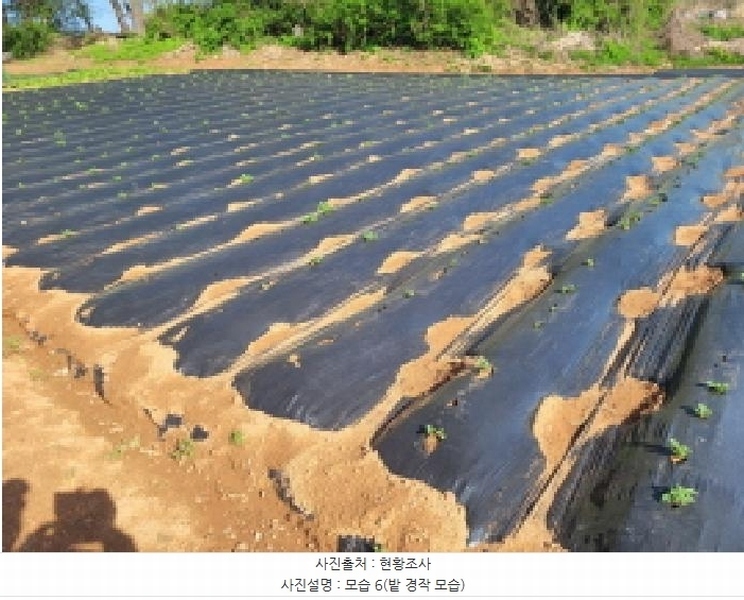 2025타경33269 경기도 김포시 고촌읍 태리 1056-1 농지 경매 이미지