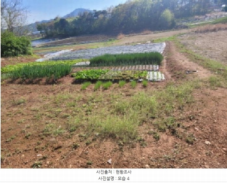 2025타경33269 경기도 김포시 고촌읍 태리 1056-1 농지 경매 이미지