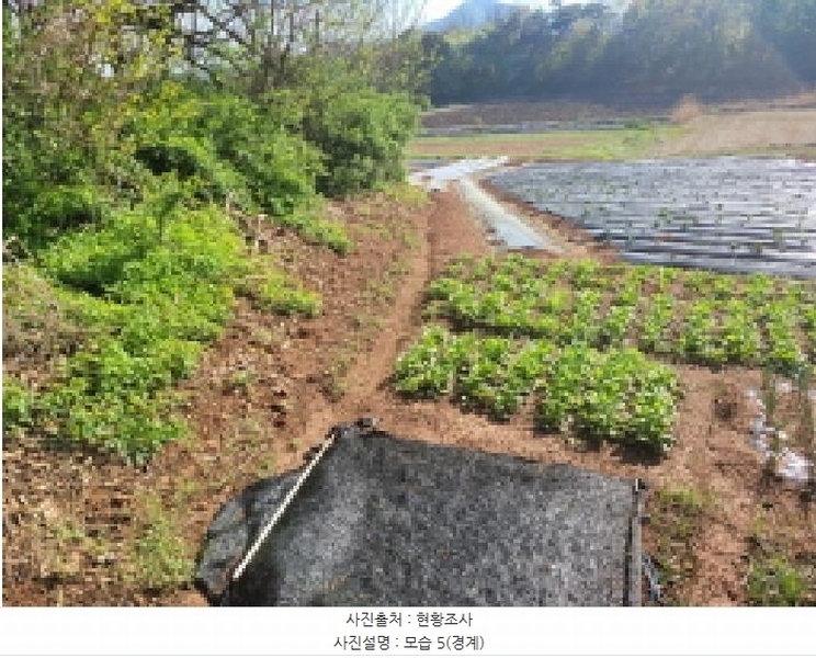 2025타경33269 경기도 김포시 고촌읍 태리 1056-1 농지 경매 이미지