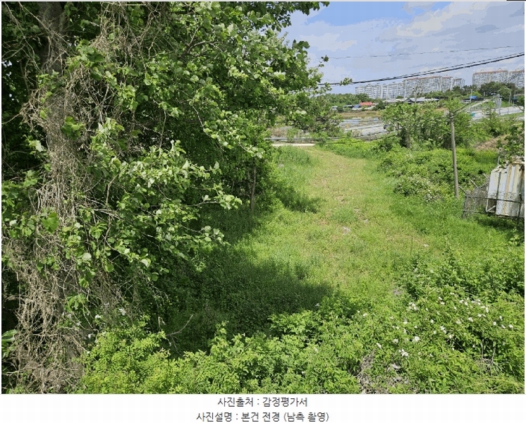 2025타경51326 충청남도 당진시 송악읍 복운리 233-4 임야 경매 이미지