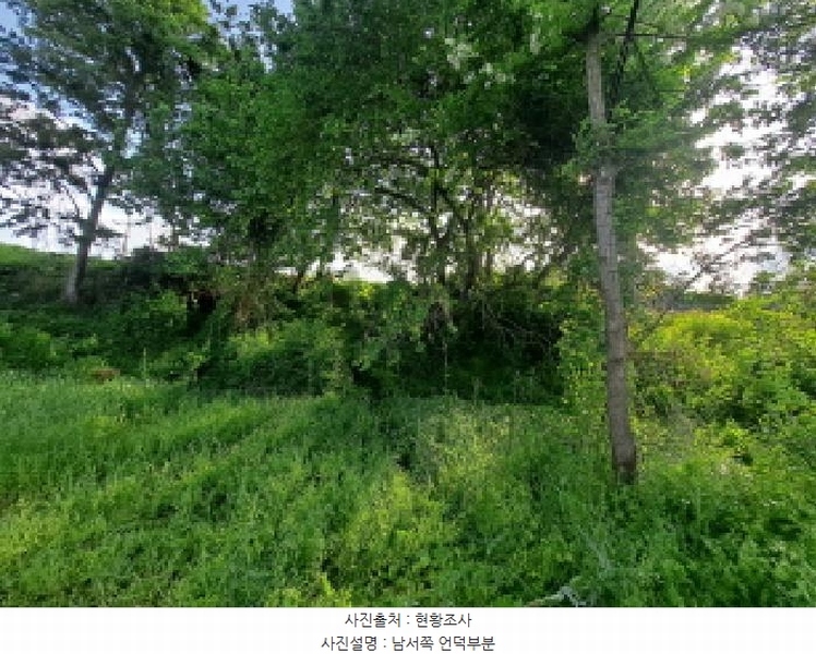 2025타경51326 충청남도 당진시 송악읍 복운리 233-4 임야 경매 이미지