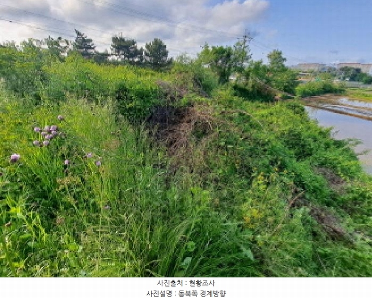 2025타경51326 충청남도 당진시 송악읍 복운리 233-4 임야 경매 이미지