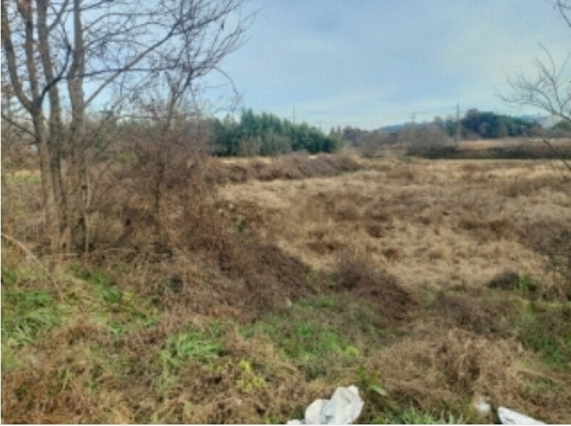 2024타경4471 충청남도 당진시 신평면 초대리 469-1 농지 경매 이미지