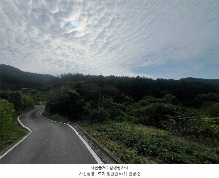 2024타경4624 경기도 양평군 서종면 수능리 산17 임야 경매 이미지