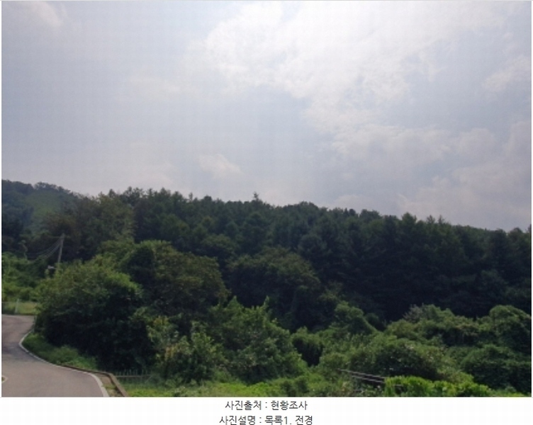 2024타경4624 경기도 양평군 서종면 수능리 산17 임야 경매 이미지