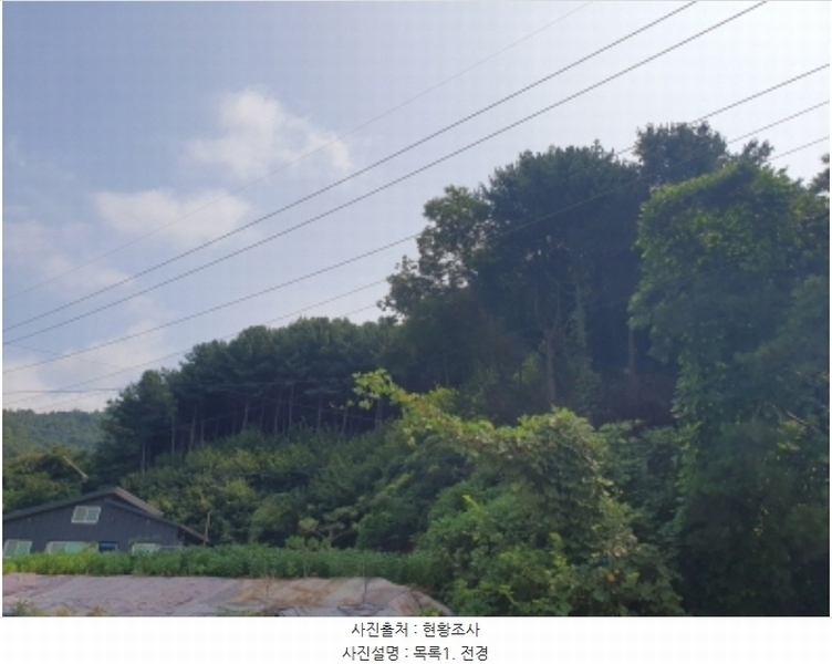 2024타경4624 경기도 양평군 서종면 수능리 산17 임야 경매 이미지