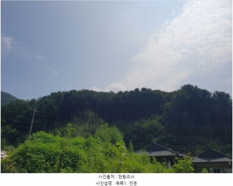 2024타경4624 경기도 양평군 서종면 수능리 산17 임야 경매 이미지