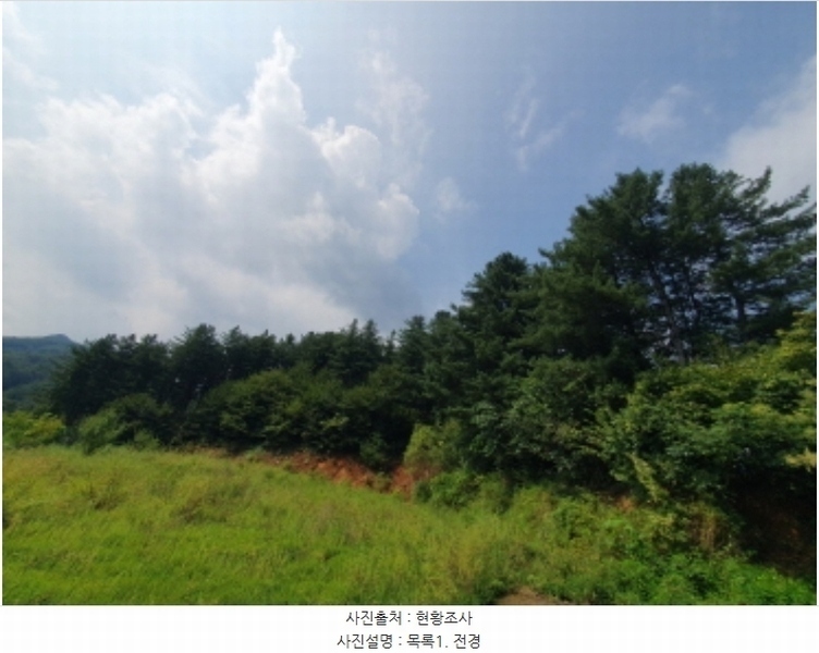 2024타경4624 경기도 양평군 서종면 수능리 산17 임야 경매 이미지