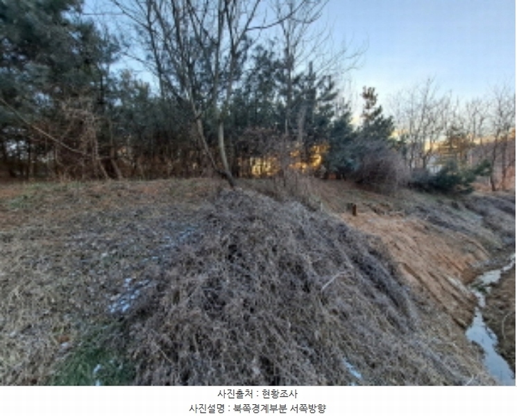 2024타경5429 충청남도 당진시 송악읍 반촌리 292-1 임야 경매 이미지