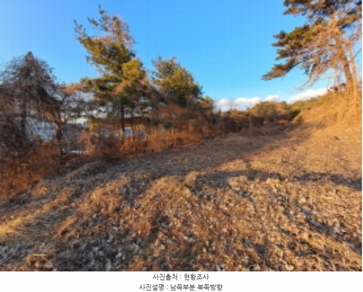 2024타경5429 충청남도 당진시 송악읍 반촌리 292-1 임야 경매 이미지
