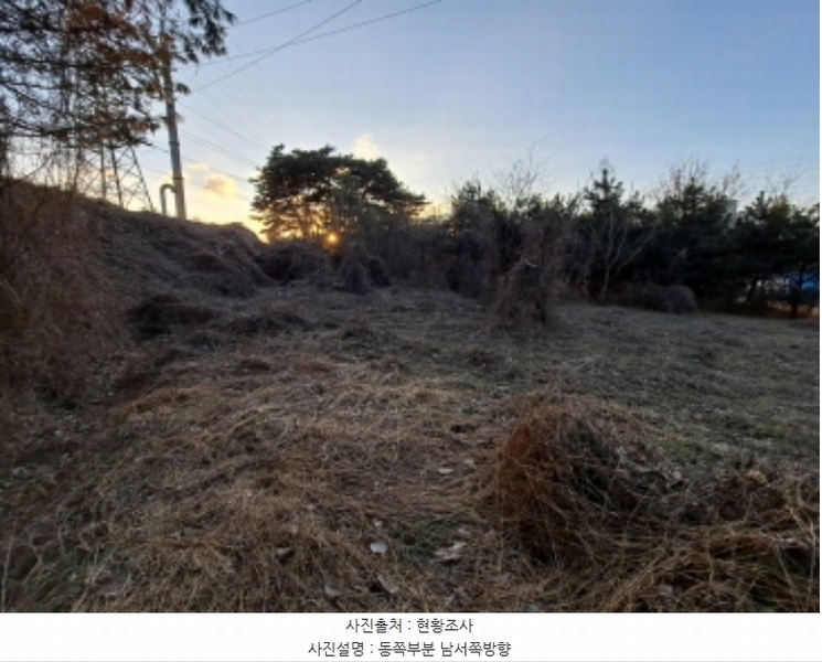 2024타경5429 충청남도 당진시 송악읍 반촌리 292-1 임야 경매 이미지