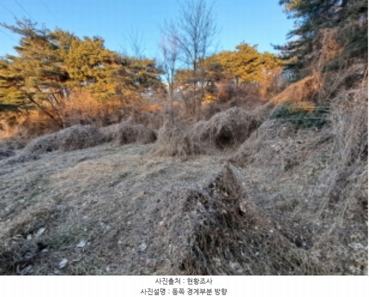 2024타경5429 충청남도 당진시 송악읍 반촌리 292-1 임야 경매 이미지